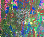 2018.12.29