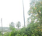 2012.09.09