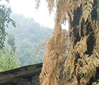 2012.09.30