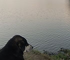 2012.10.26