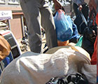 2012.11.14