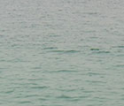 2012.11.27