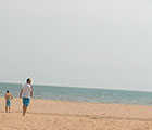 2013.02.22