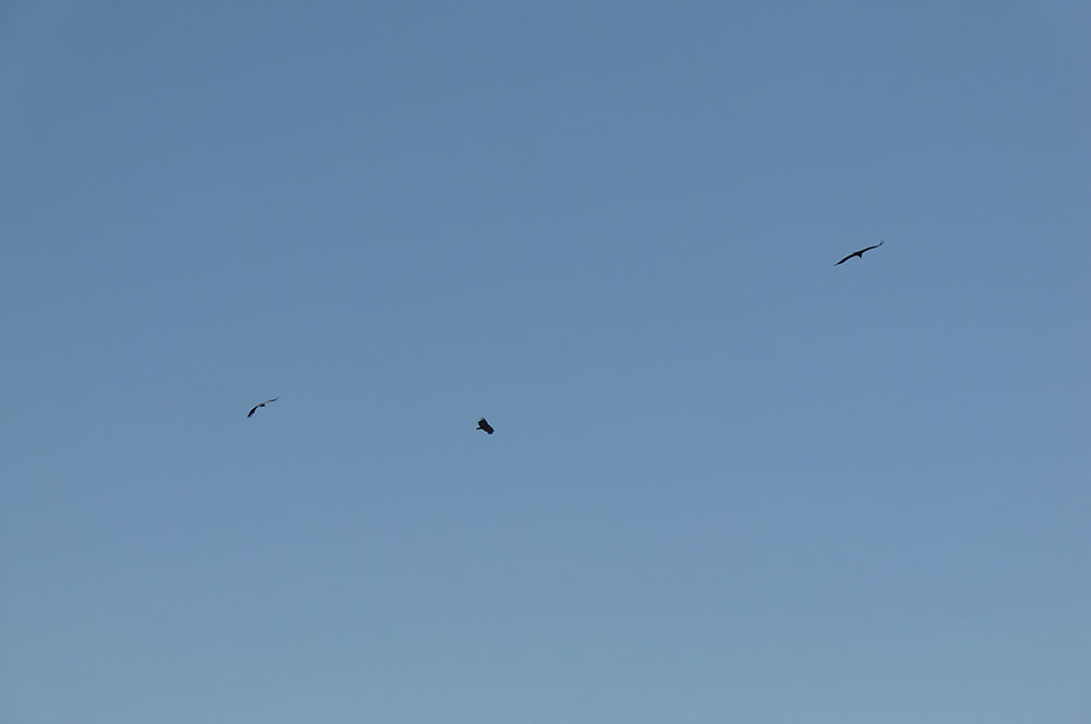 tabi_photo21_3.jpg
