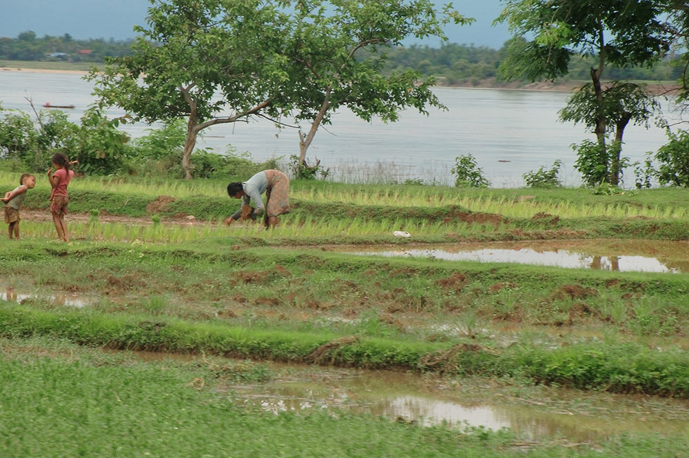 tabi_photo40.jpg