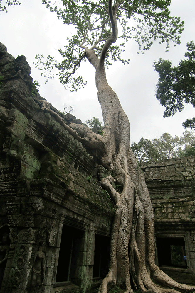 tabi_photo49_7.jpg