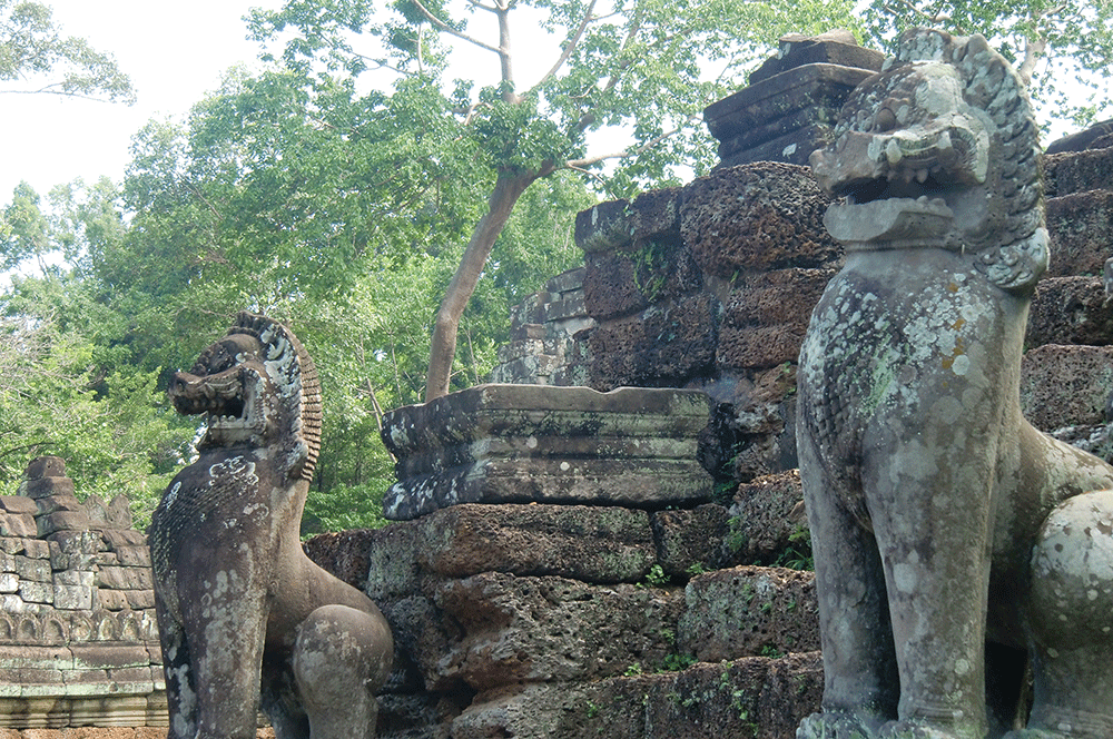 tabi_photo50_5.jpg