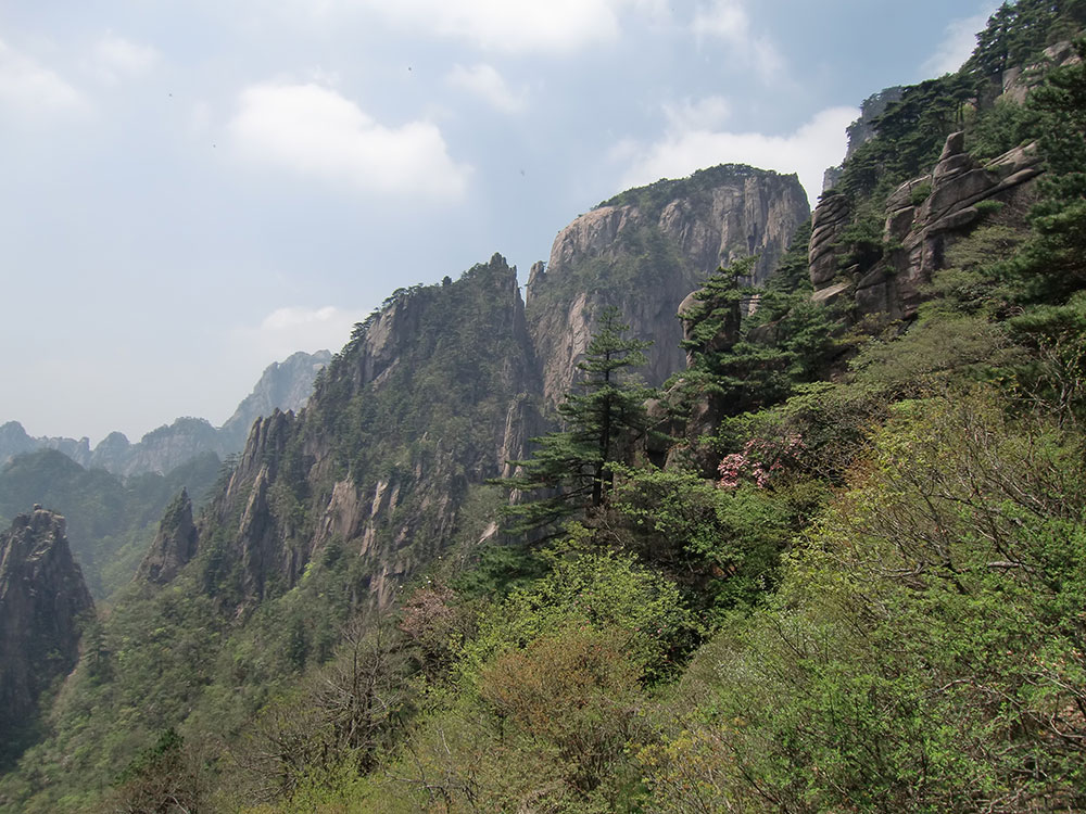 tabi_photo7_3.jpg