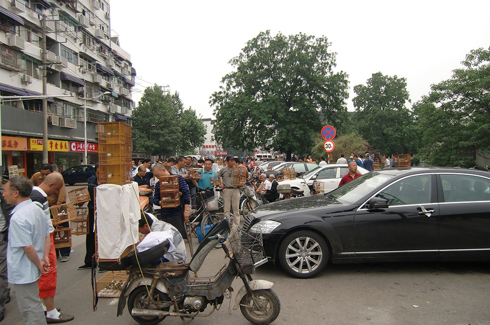tabi_photo8_2.jpg